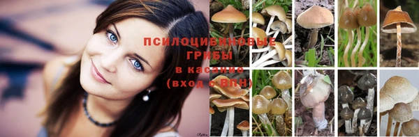 бутират Аркадак