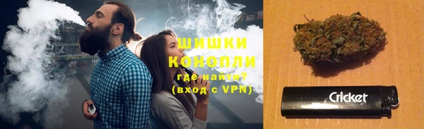 спайс Арсеньев