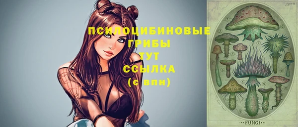 ПСИЛОЦИБИНОВЫЕ ГРИБЫ Балахна