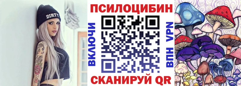 Псилоцибиновые грибы Cubensis Георгиевск