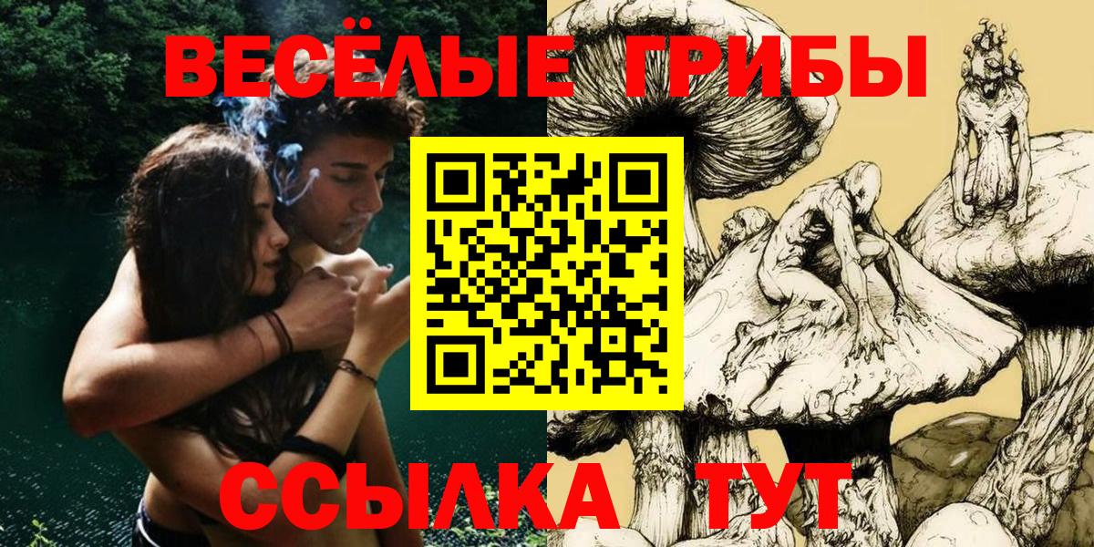 Галлюциногенные грибы Psilocybine cubensis  Вход с VPN  Георгиевск 
